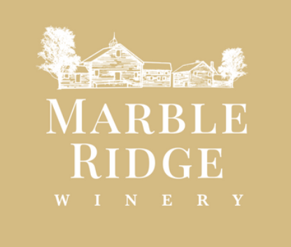 Acoustic duo performing live music in Massachesetts in February