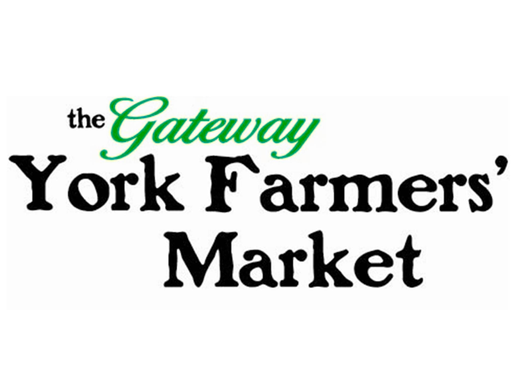 Acoustic duo performing live music in Massachesetts in February